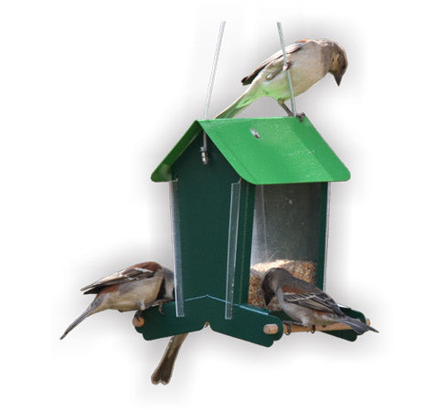 Elaine's Birding Perspex Seed Feeder