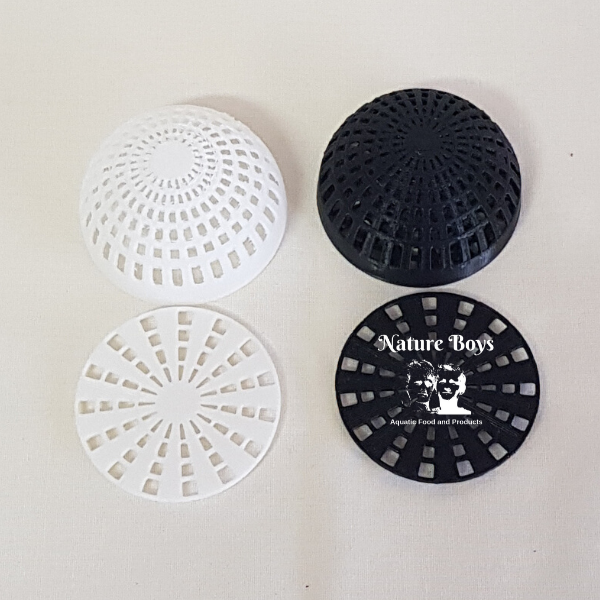 Nature Boys Moss Dome & Base