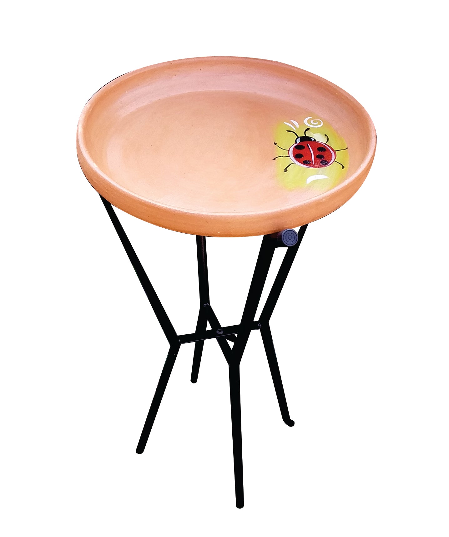 Elaine's Birding Pedestal Bird Bath