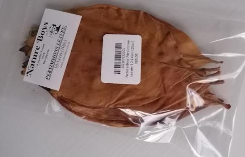 Nature Boys Persimmon Leaves 10-14cm (10pc)