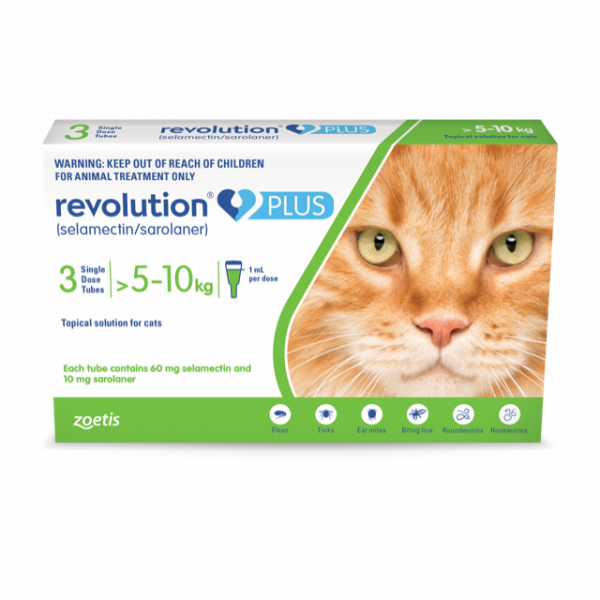 Revolution Plus for Cats 5-10kg