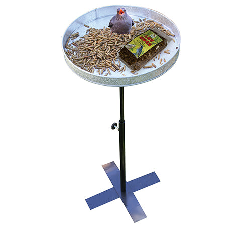 Elaine's Robin Scratch Patch feeder