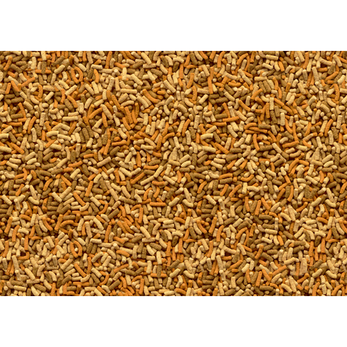 Tetra Variety Sticks