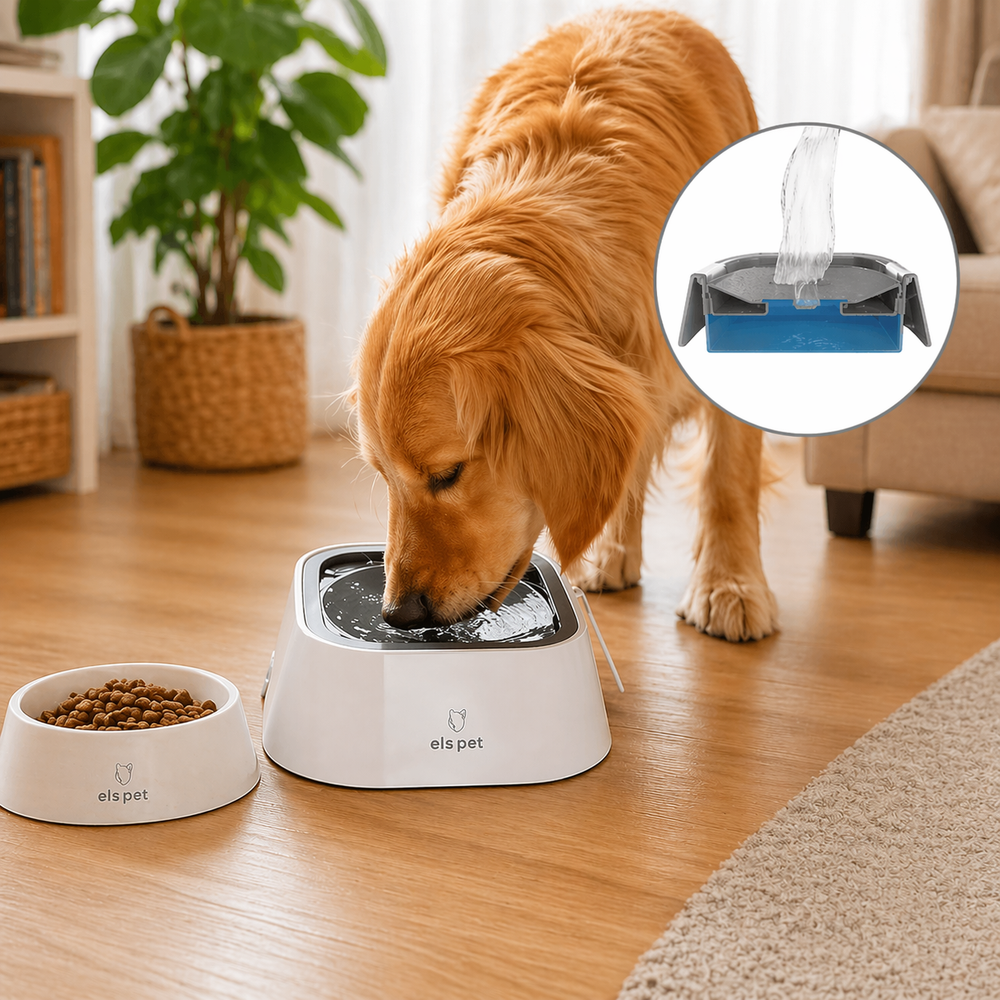 Bamby – Coastal Pets