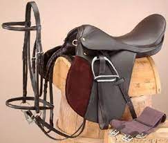 NS Equestrian Saddles