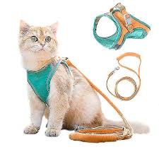 NS Cat Collar & Leashes
