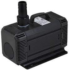 EF Oat Hay – Coastal Pets