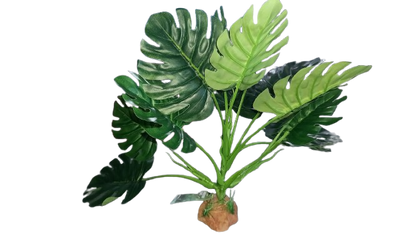 Nomoy - Artificial Reptile Plants