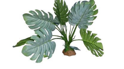 Nomoy - Artificial Reptile Plants