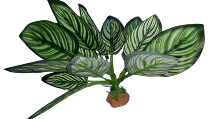 Nomoy - Artificial Reptile Plants