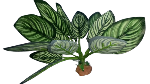Nomoy - Artificial Reptile Plants