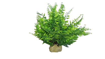 Nomoy - Artificial Reptile Plants