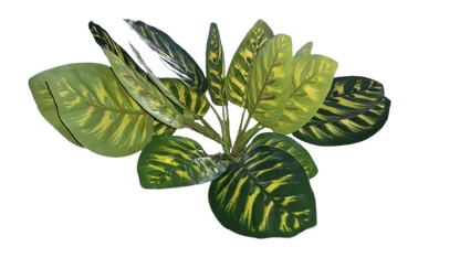 Nomoy - Artificial Reptile Plants