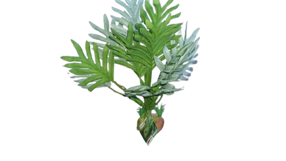 Nomoy - Artificial Reptile Plants