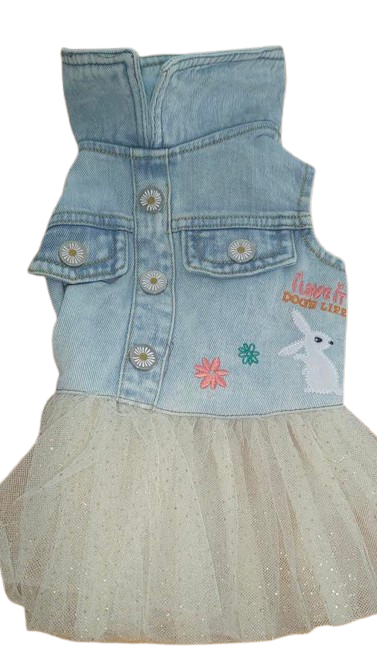 DLSUM Denim Pawty Dress