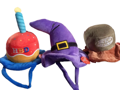 Dog's Life Plush Hat