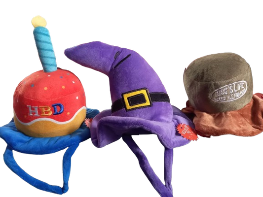 Dog's Life Plush Hat