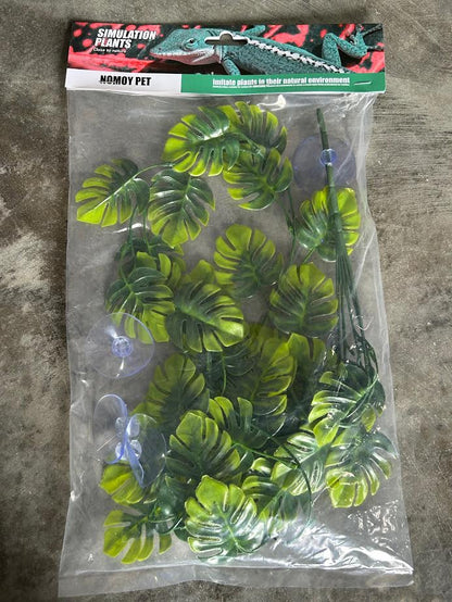 Nomoy Reptile Plants