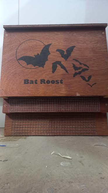 Elaines Birding Bat Roost