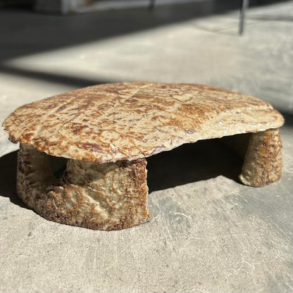 Daro Reptile Cave Small