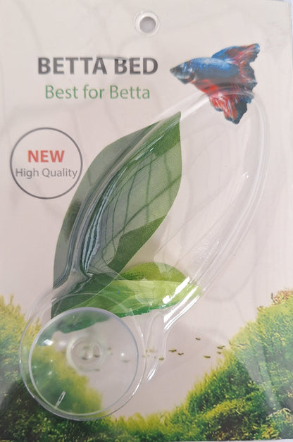 Betta Beds