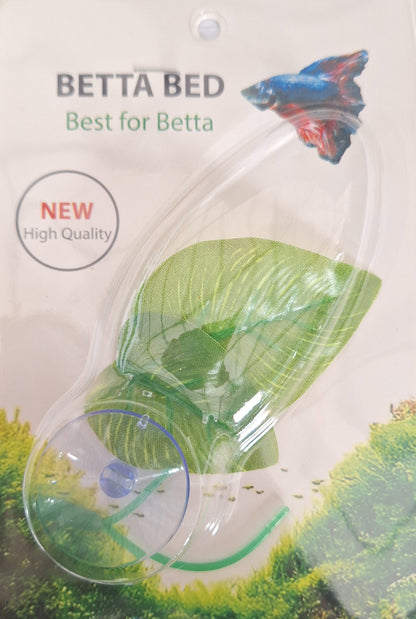 Betta Beds