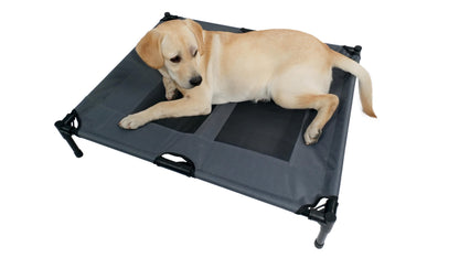 Mpets Elevated Dog Bed