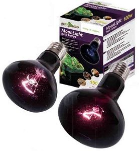 Reptizoo Night Heat Bulb