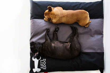Dog's Life Squarebone Cushion Bed - Black