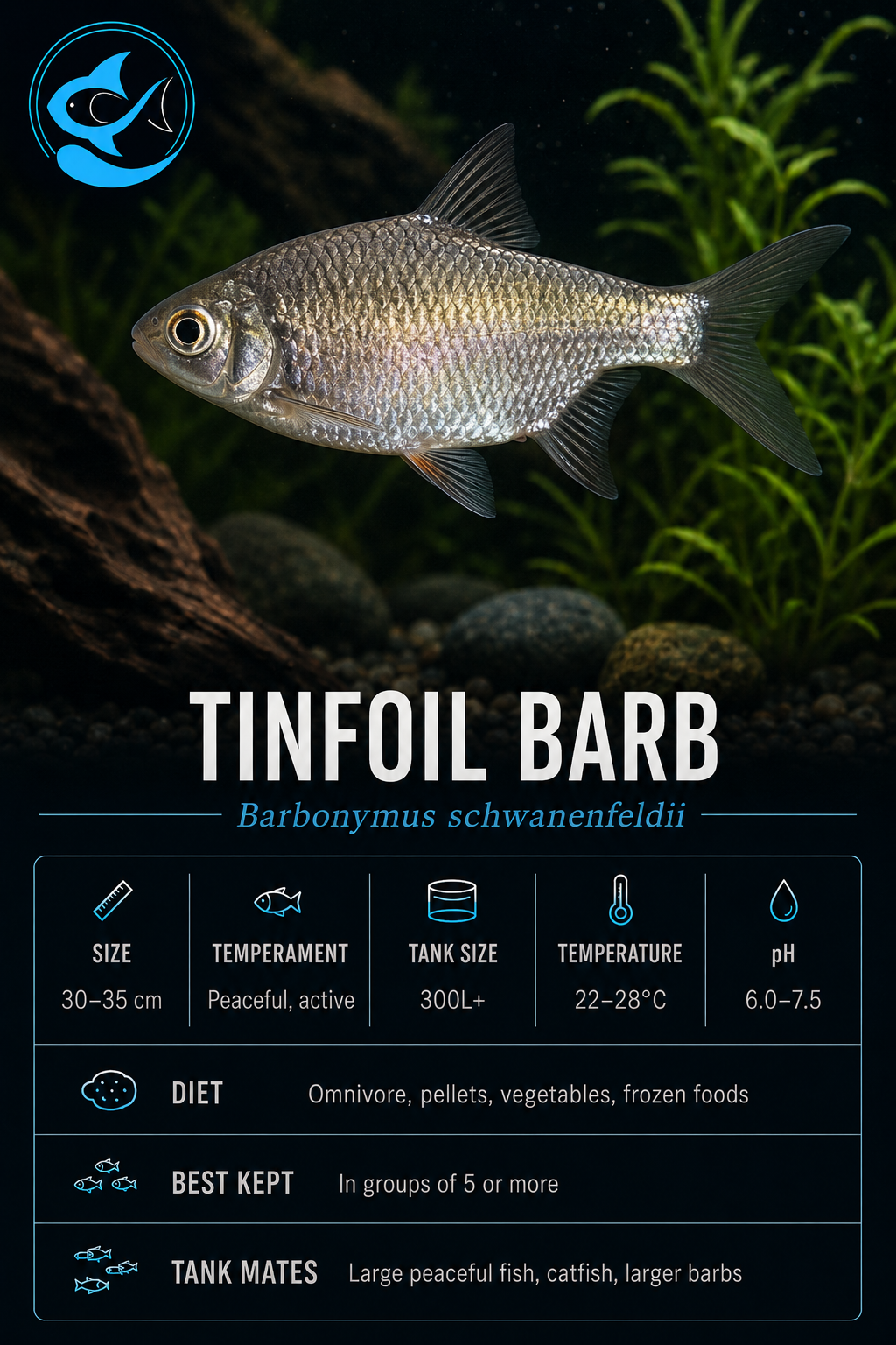 Barb-Tinfoil