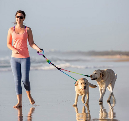 Nylon Dog Detachable Leash