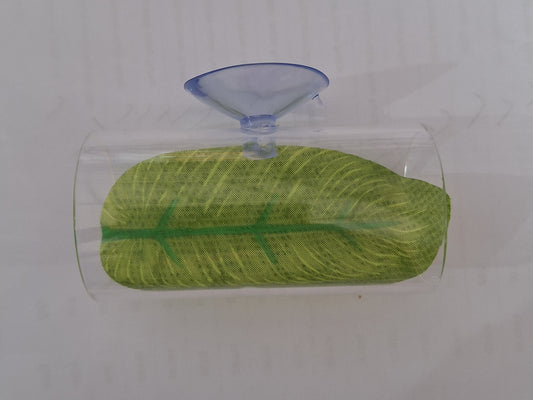 Betta Beds