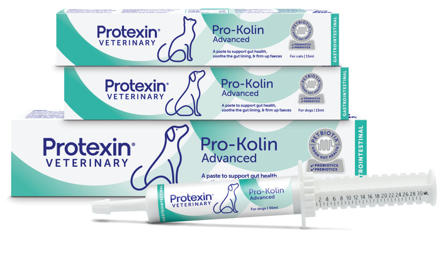 Pro-Kolin Advanced For Dogs 15ml