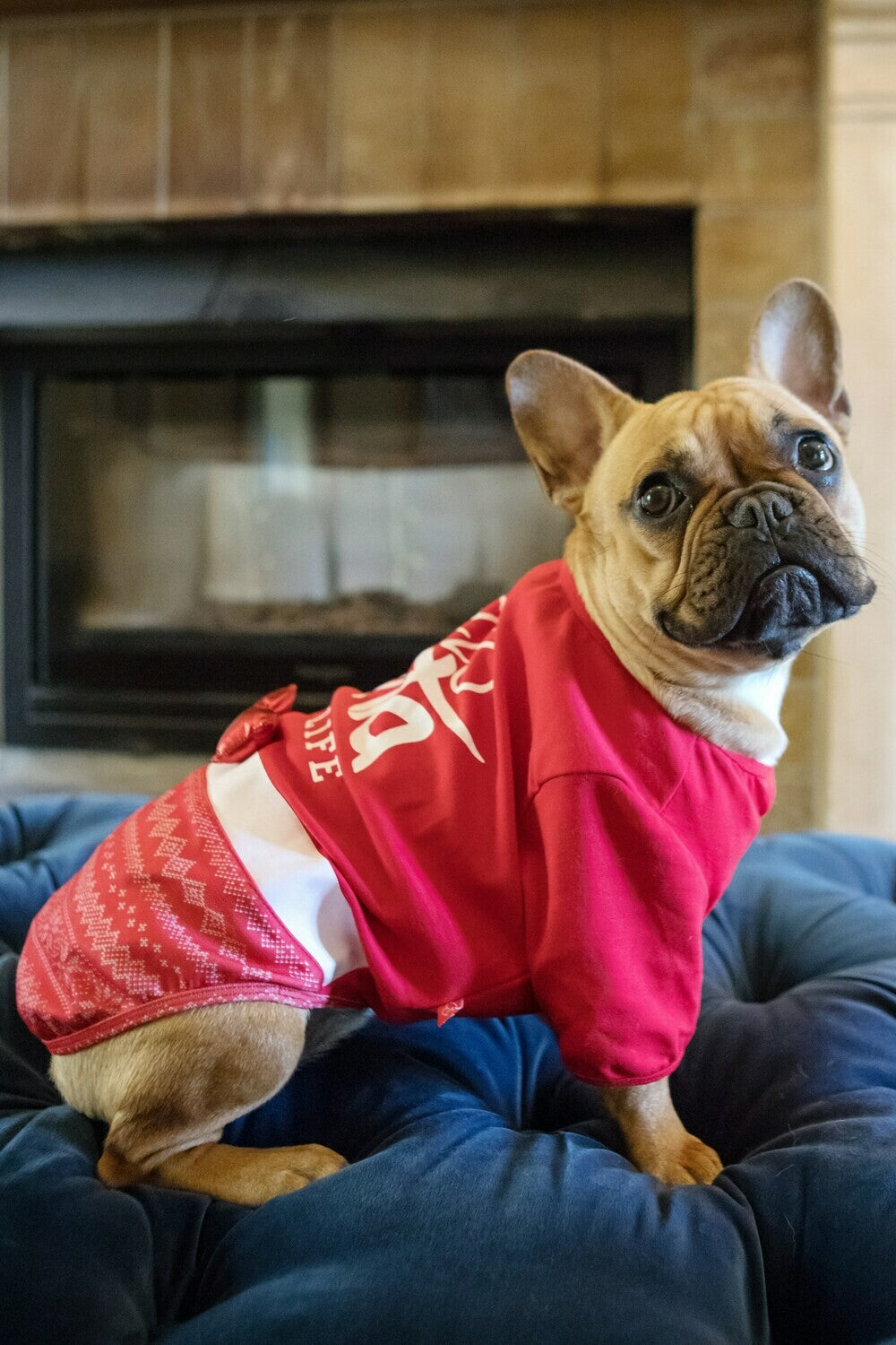 Dog's Life Hello Santa Tee with Bow Red