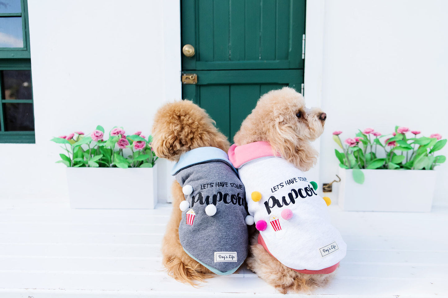 DLWN Lets Have Some Pupcorn Cape
