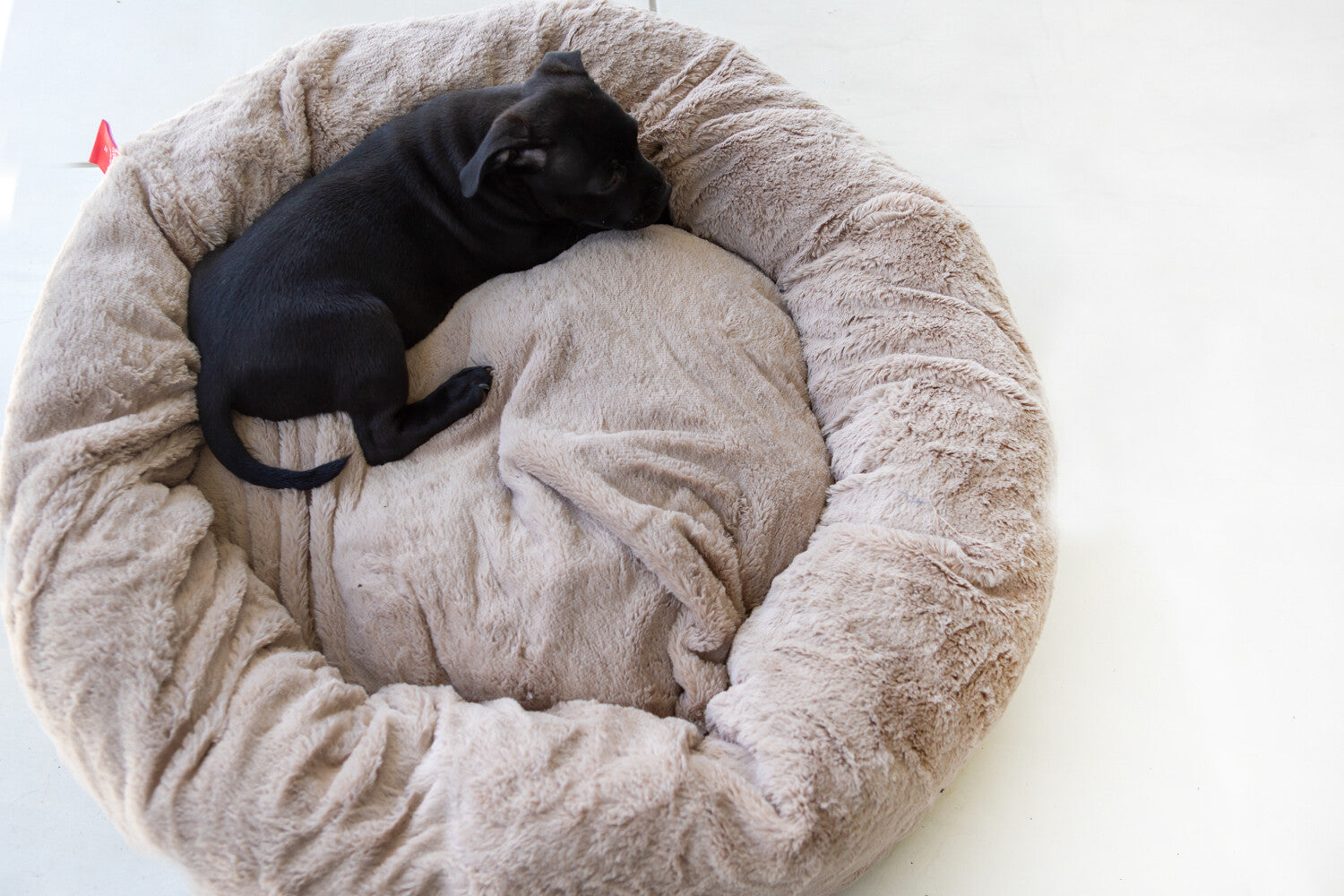 Dog's Life Calming Cuddler - Sand