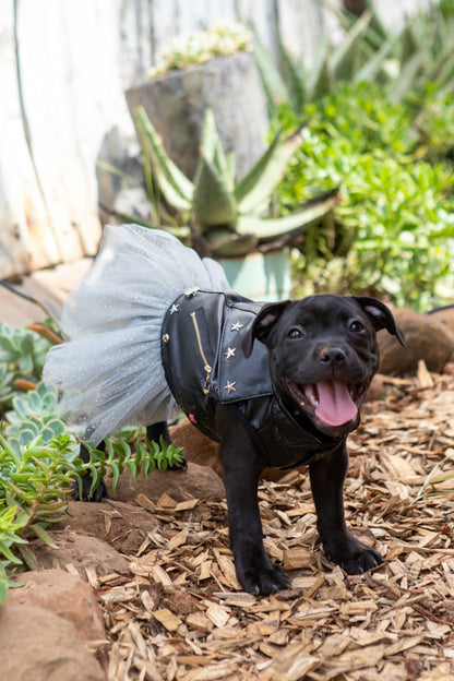 Dogs LIfe Biker Dress
