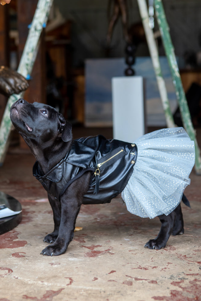 Dogs LIfe Biker Dress