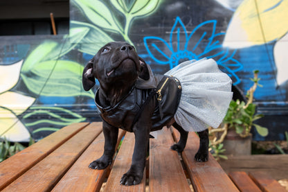 Dogs LIfe Biker Dress