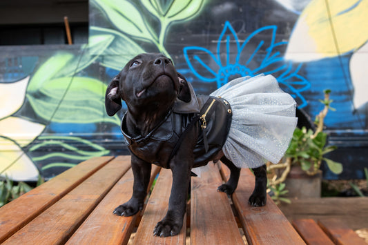 Dogs LIfe Biker Dress