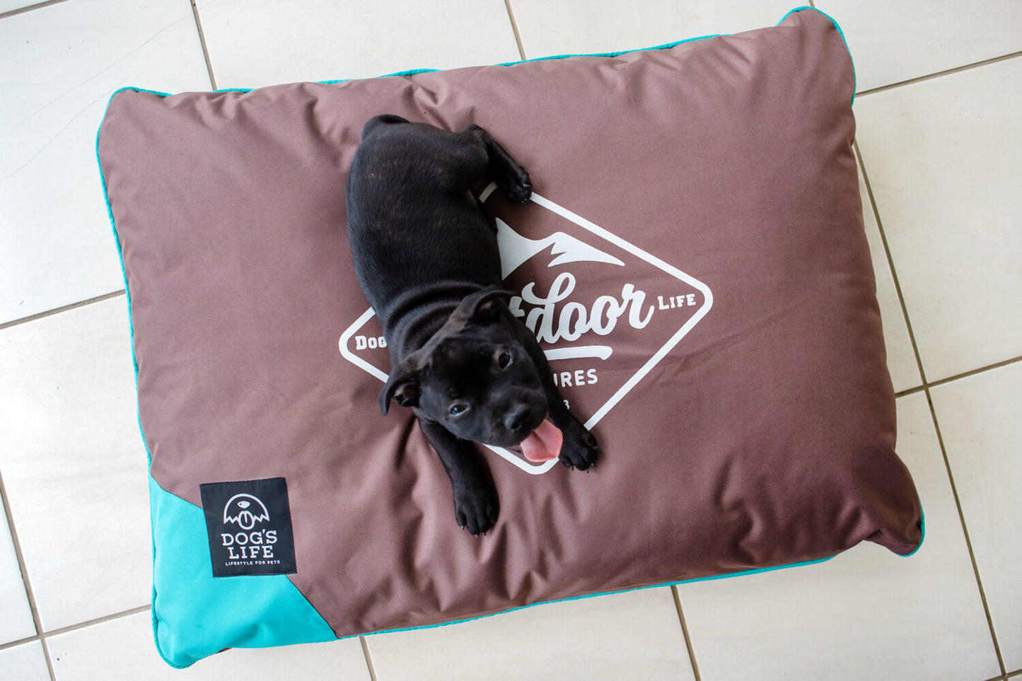 Dog's Life Outdoor Adventures Cushion - Brown
