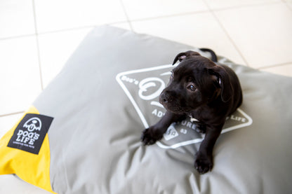 Dog's Life Outdoor Adventures Cushion - Grey