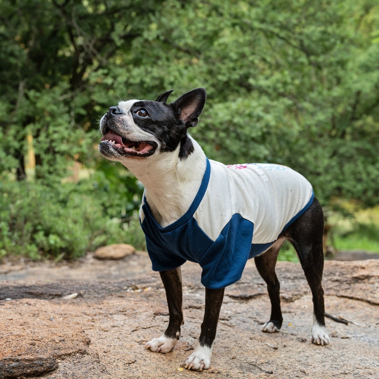 Dog's Life Boisterous Pup Tee - Navy