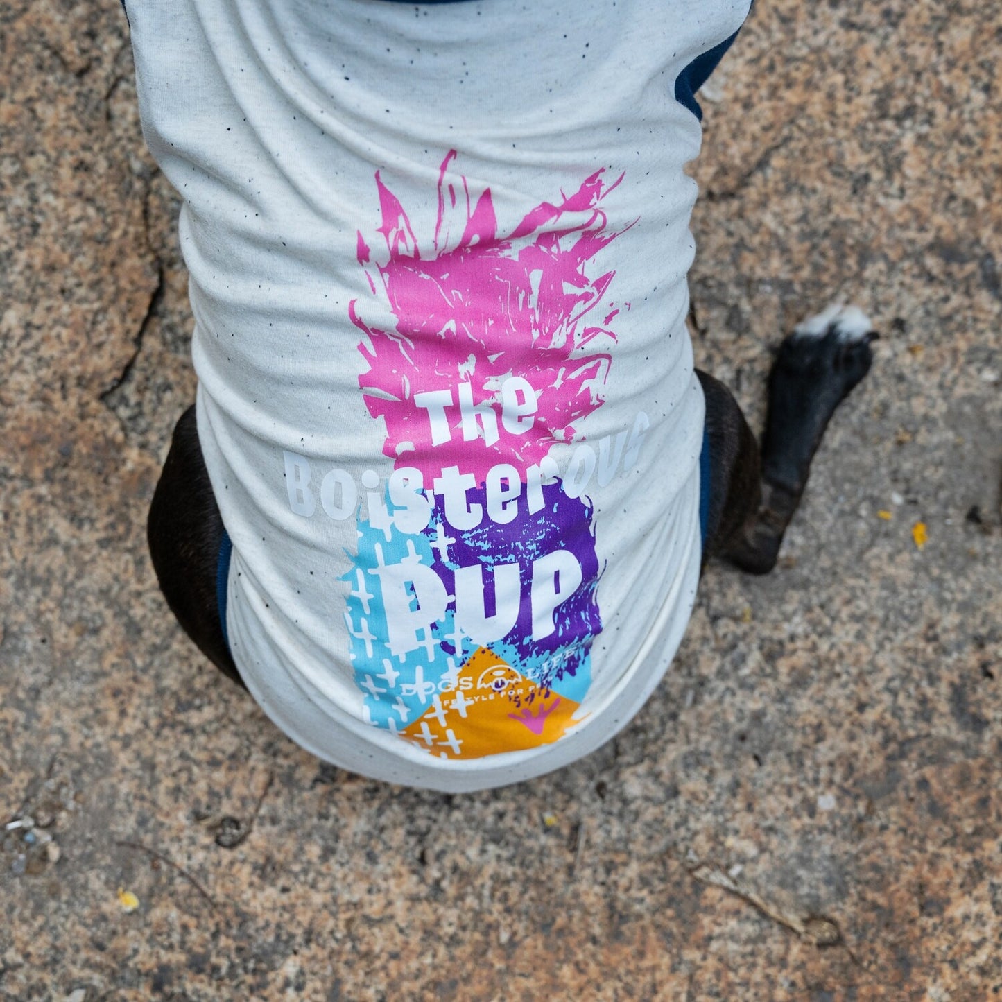 Dog's Life Boisterous Pup Tee - Navy