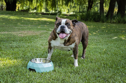 Dog's Life Diamond Melamine Stainless Steel Bowls