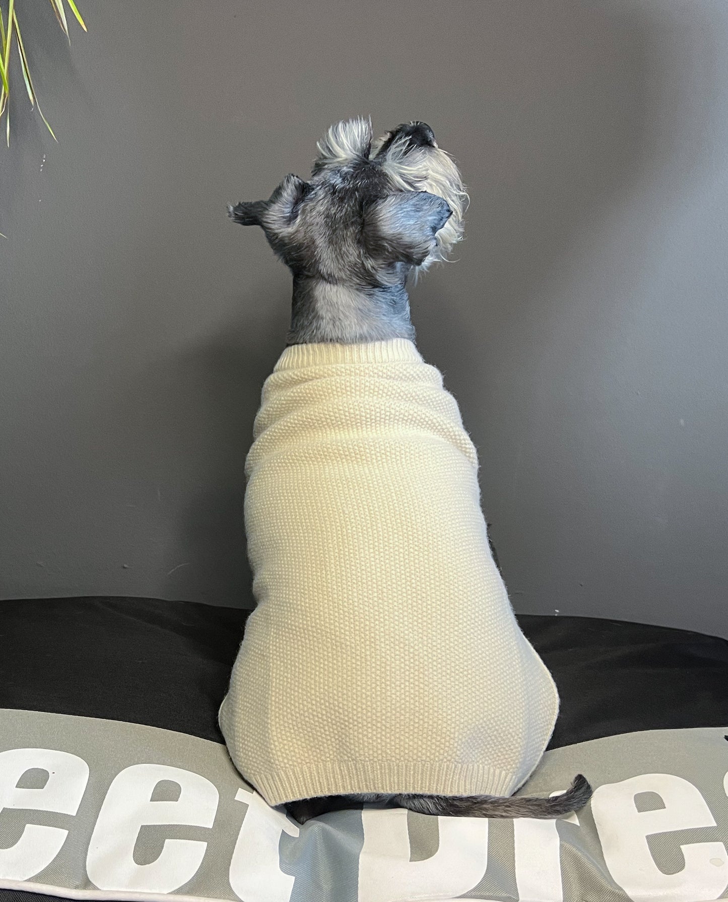TKMWN Crochet Sweater