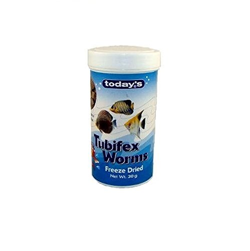 Today's Tubifex Worms 30g