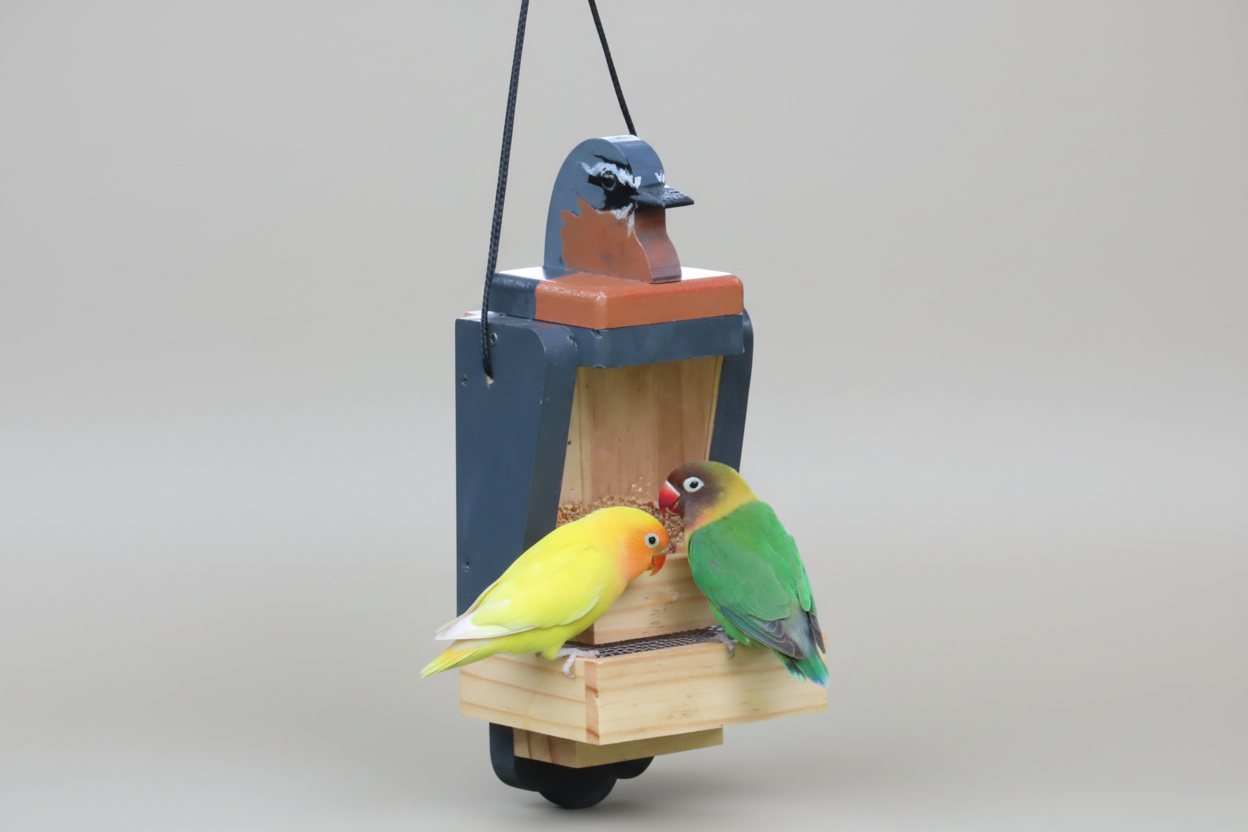 Elaines Funky Flock Feeders