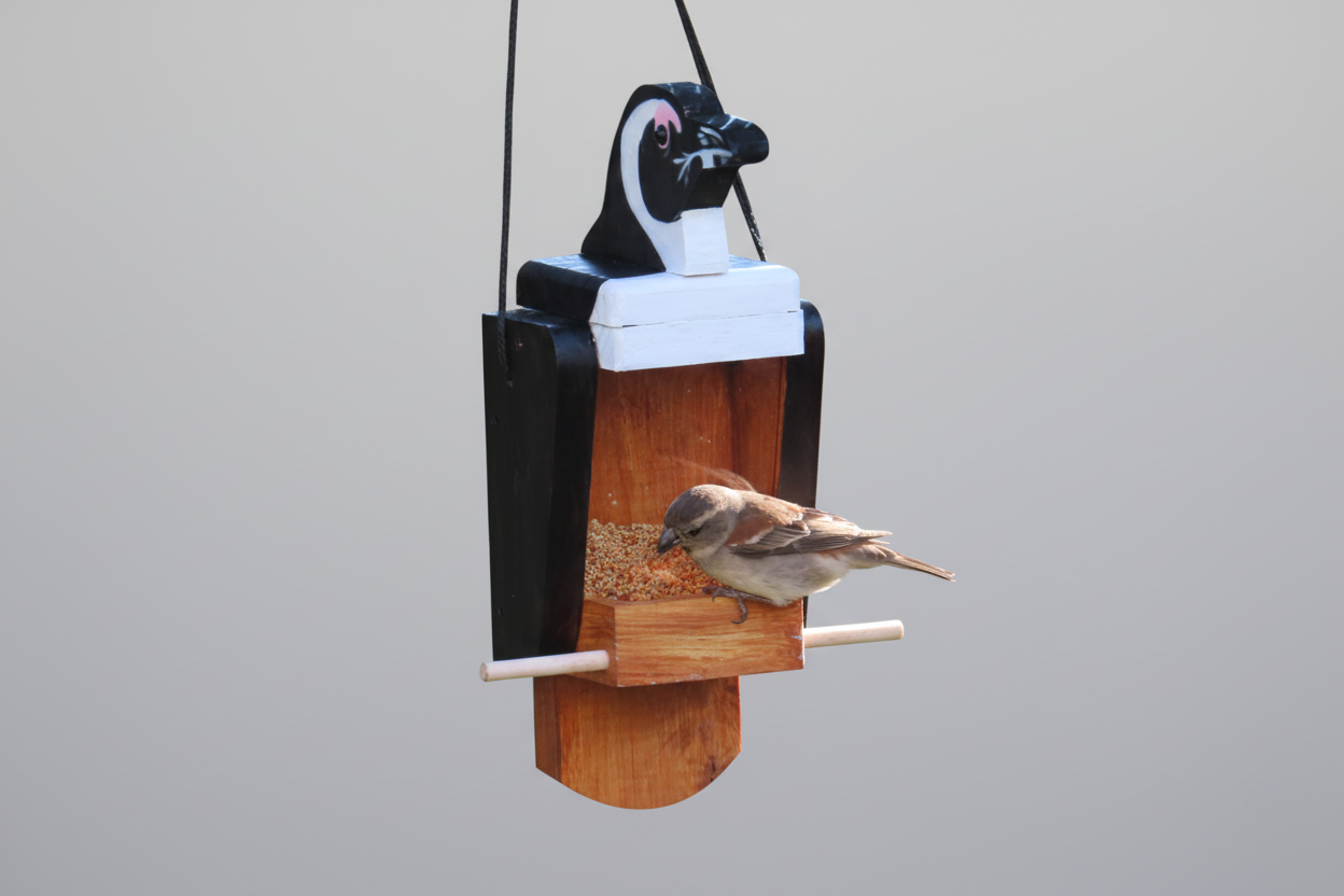 Elaines Funky Flock Feeders