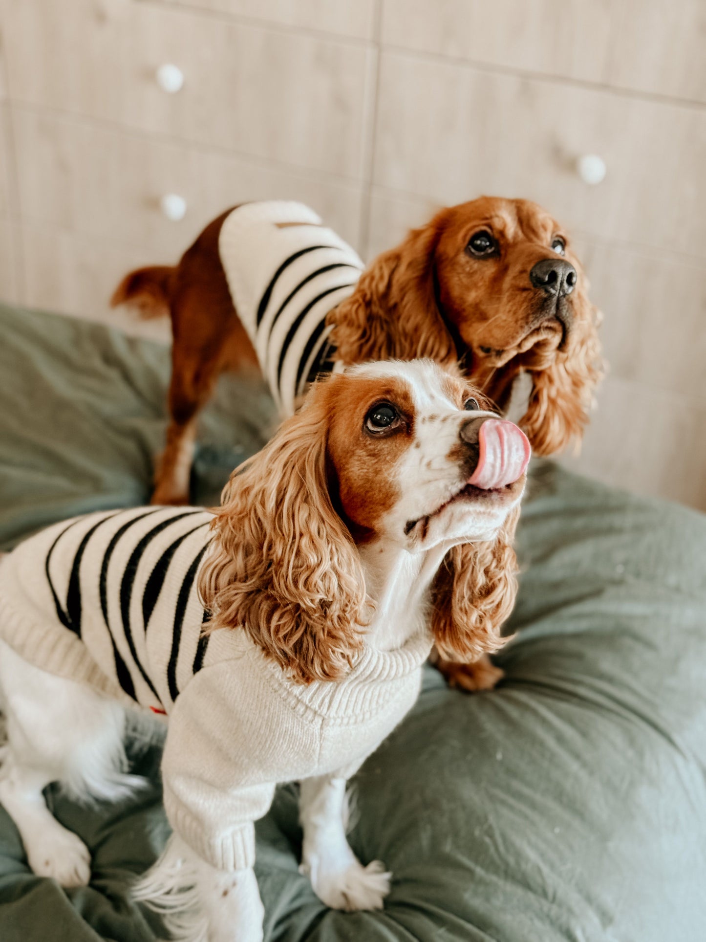 DLWN Polo-Neck Striped Pullover